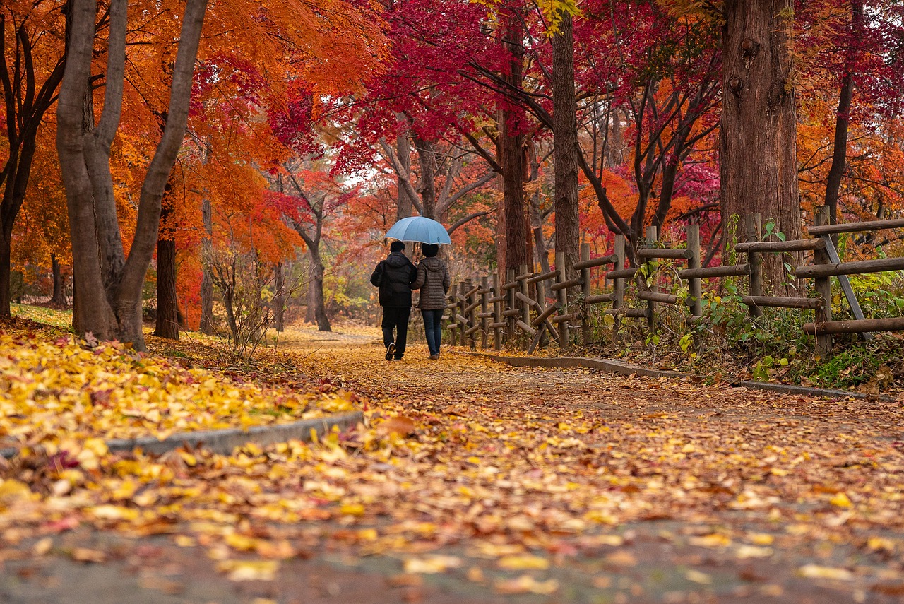 nature walk in fall for crafting items inspiration